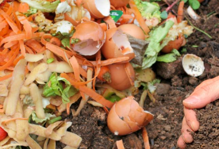 Los trucos definitivos para hacer compost casero y transformar tus residuos orgánicos