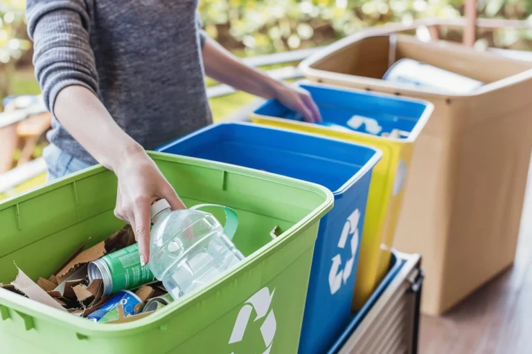 ¿Dónde se tira un cepillo de dientes? ¿Y la caja de la pizza? Los errores más comunes que cometemos al reciclar