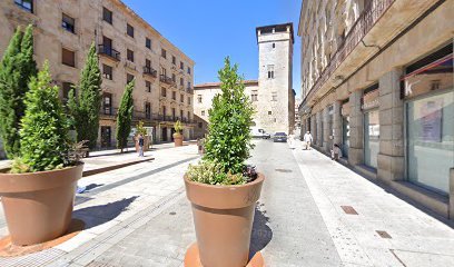 Punto limpio móvil (Plaza de la Constitución – Zona 1)